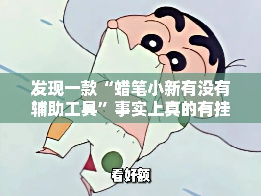 发现一款“蜡笔小新有没有辅助工具	”事实上真的有挂