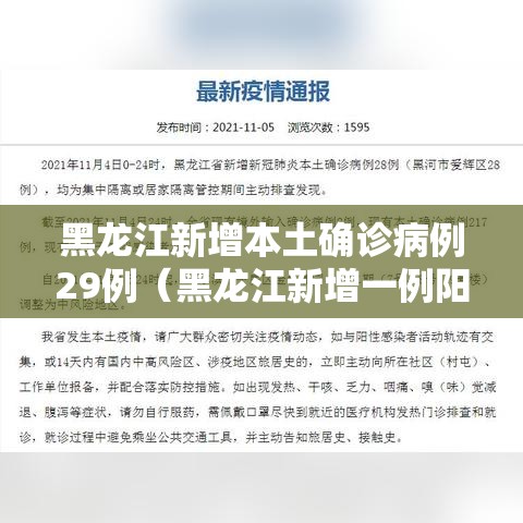 黑龙江新增本土确诊病例29例（黑龙江新增一例阳性感染者）