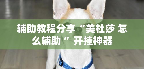 辅助教程分享“美杜莎 怎么辅助 ”开挂神器