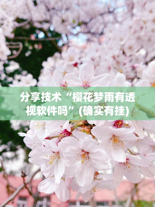 分享技术“樱花梦雨有透视软件吗	”(确实有挂)