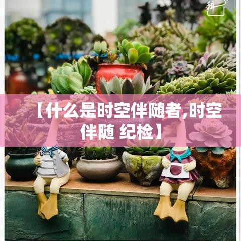 【什么是时空伴随者,时空伴随 纪检】