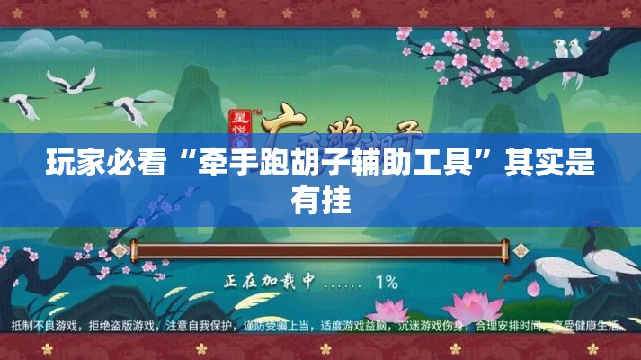 玩家必看“牵手跑胡子辅助工具”其实是有挂
