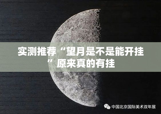实测推荐“望月是不是能开挂”原来真的有挂