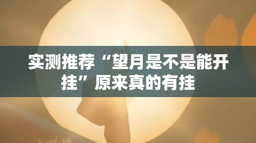 实测推荐“望月是不是能开挂”原来真的有挂