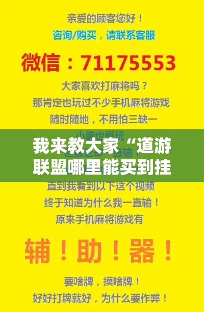 我来教大家“道游联盟哪里能买到挂”开挂神器