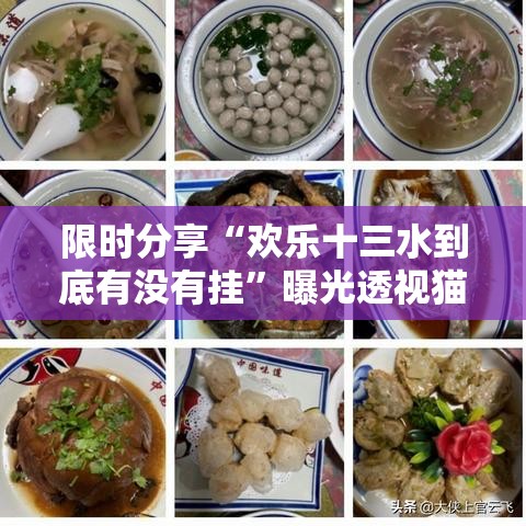 限时分享“欢乐十三水到底有没有挂”曝光透视猫腻