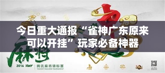 今日重大通报“雀神广东原来可以开挂”玩家必备神器