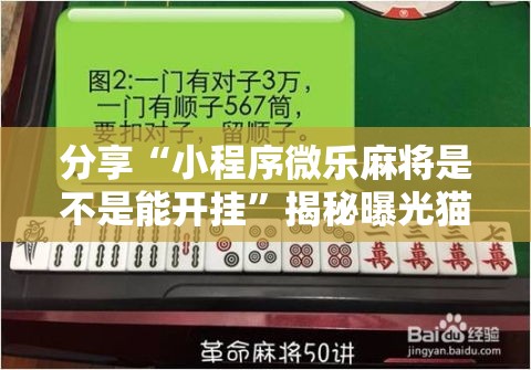 分享“小程序微乐麻将是不是能开挂”揭秘曝光猫腻