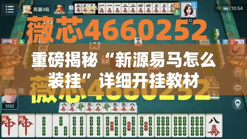 重磅揭秘“新源易马怎么装挂”详细开挂教材