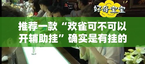 推荐一款“欢雀可不可以开辅助挂”确实是有挂的