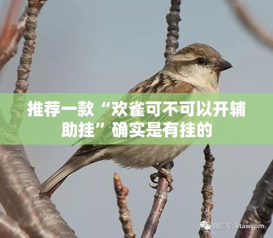 推荐一款“欢雀可不可以开辅助挂	”确实是有挂的