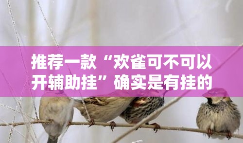 推荐一款“欢雀可不可以开辅助挂	”确实是有挂的