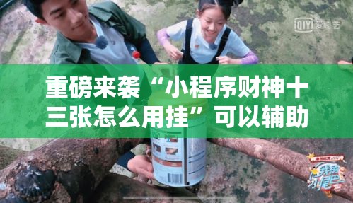 重磅来袭“小程序财神十三张怎么用挂”可以辅助