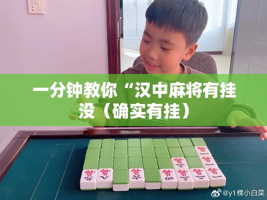 一分钟教你“汉中麻将有挂没(确实有挂) 一分钟教你“汉中麻将有挂没(确实有挂)
