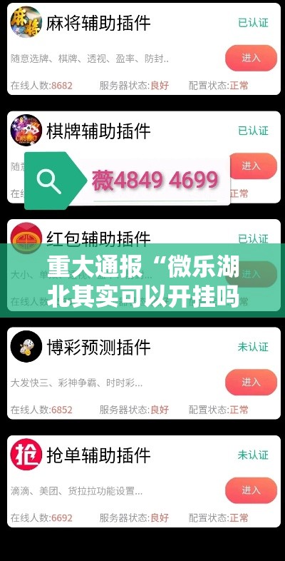 重大通报“微乐湖北其实可以开挂吗”详细开挂教材