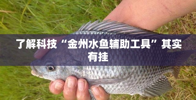 了解科技“金州水鱼辅助工具	”其实有挂