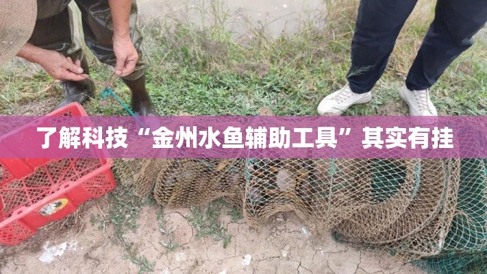 了解科技“金州水鱼辅助工具”其实有挂