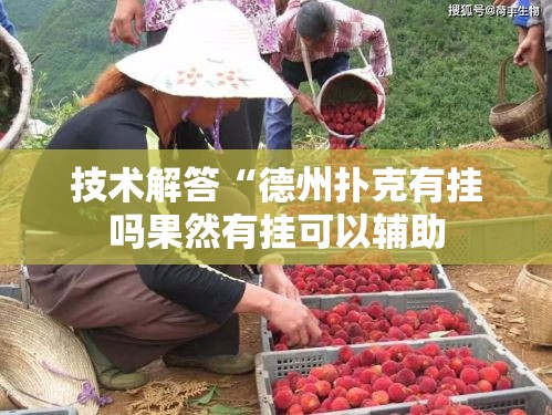 技术解答“德州扑克有挂吗果然有挂可以辅助