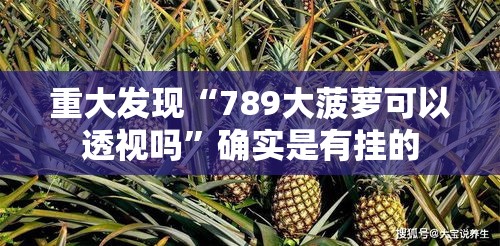 重大发现“789大菠萝可以透视吗”确实是有挂的