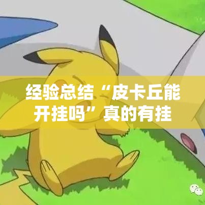 经验总结“皮卡丘能开挂吗”真的有挂