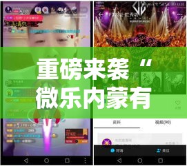重磅来袭“微乐内蒙有没有挂辅助”玩家必备神器