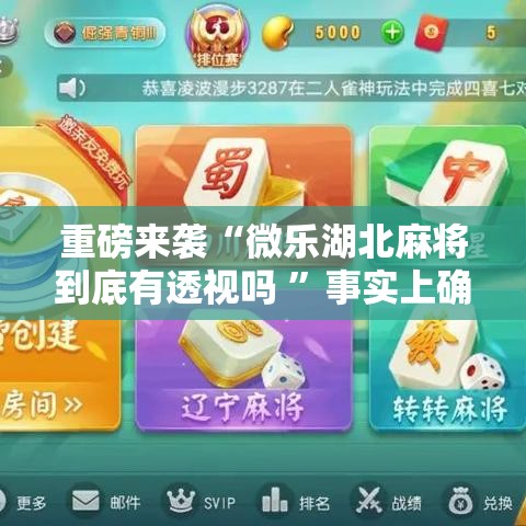 重磅来袭“微乐湖北麻将到底有透视吗 ”事实上确实有挂