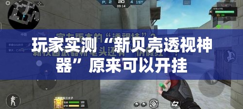 玩家实测“新贝壳透视神器”原来可以开挂