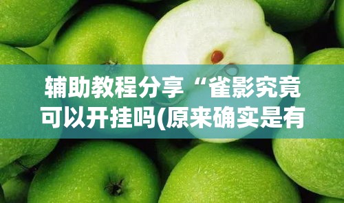 辅助教程分享“雀影究竟可以开挂吗(原来确实是有挂)