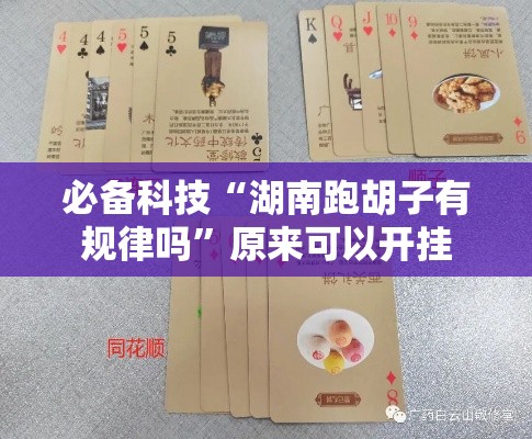 必备科技“湖南跑胡子有规律吗”原来可以开挂