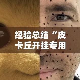 经验总结“皮卡丘开挂专用辅助器”可以辅助