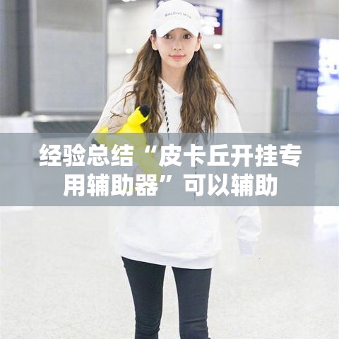 经验总结“皮卡丘开挂专用辅助器	”可以辅助