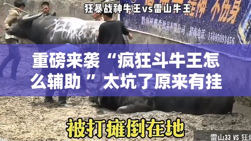 重磅来袭“疯狂斗牛王怎么辅助 ”太坑了原来有挂