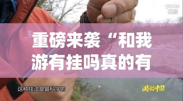 重磅来袭“和我游有挂吗真的有挂”[确实真的有挂]