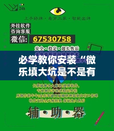必学教你安装“微乐填大坑是不是有挂”详细辅助