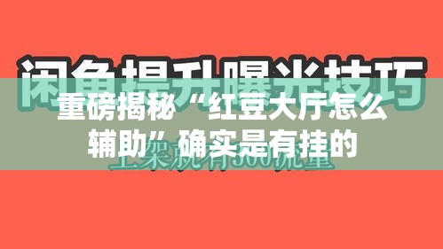 重磅揭秘“红豆大厅怎么辅助”确实是有挂的