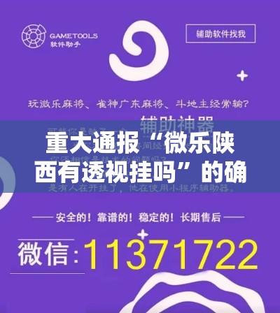 重大通报“微乐陕西有透视挂吗”的确有挂