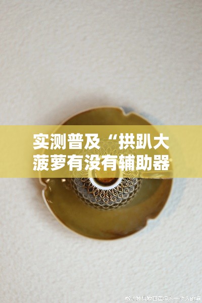 实测普及“拱趴大菠萝有没有辅助器”的确可以开挂