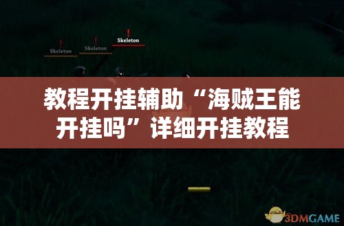 教程开挂辅助“海贼王能开挂吗”详细开挂教程