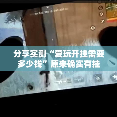 分享实测“爱玩开挂需要多少钱	”原来确实有挂