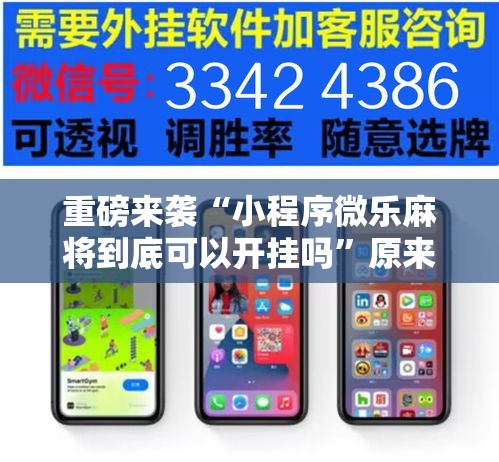 重磅来袭“小程序微乐麻将到底可以开挂吗”原来确实有挂