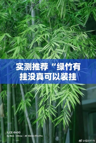 实测推荐“绿竹有挂没真可以装挂 实测推荐“绿竹有挂没真可以装挂