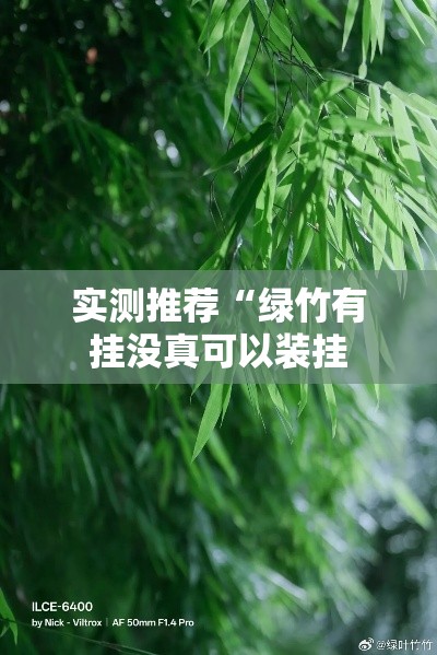 实测推荐“绿竹有挂没真可以装挂 实测推荐“绿竹有挂没真可以装挂