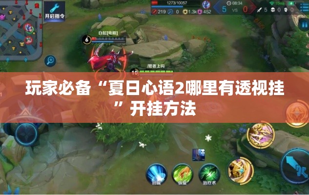 玩家必备“夏日心语2哪里有透视挂”开挂方法