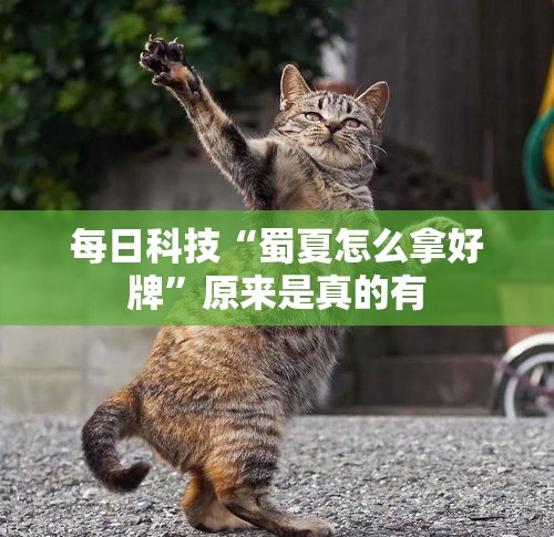 每日科技“蜀夏怎么拿好牌	”原来是真的有