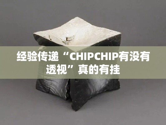 经验传递“CHIPCHIP有没有透视”真的有挂