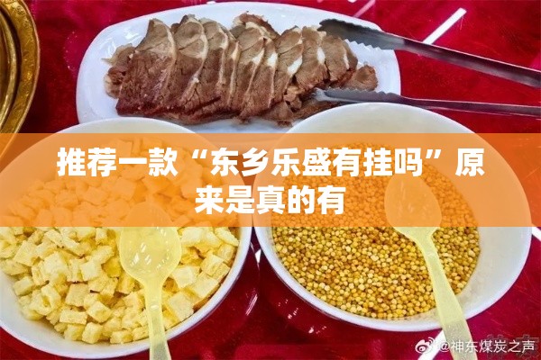 推荐一款“东乡乐盛有挂吗	”原来是真的有
