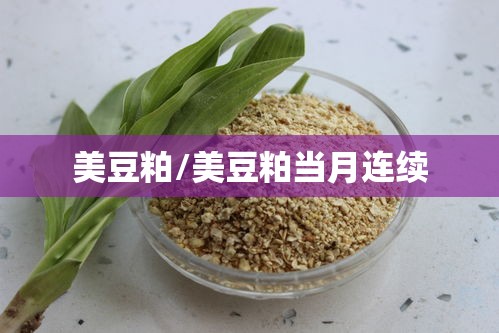美豆粕/美豆粕当月连续