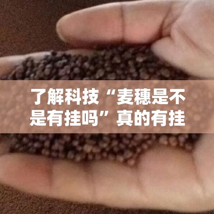 了解科技“麦穗是不是有挂吗”真的有挂