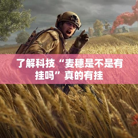 了解科技“麦穗是不是有挂吗	”真的有挂