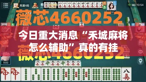 今日重大消息“禾城麻将怎么辅助	”真的有挂